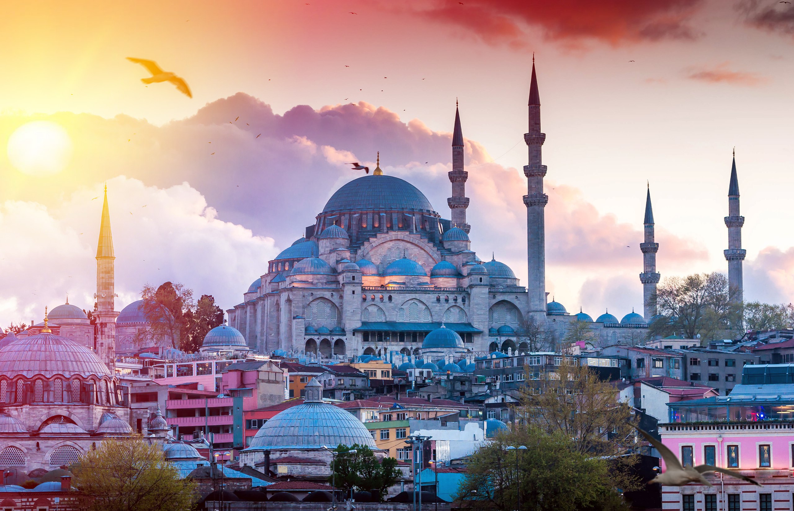 Study in Turkey